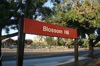 blossom_hill24