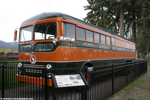 whitefish23