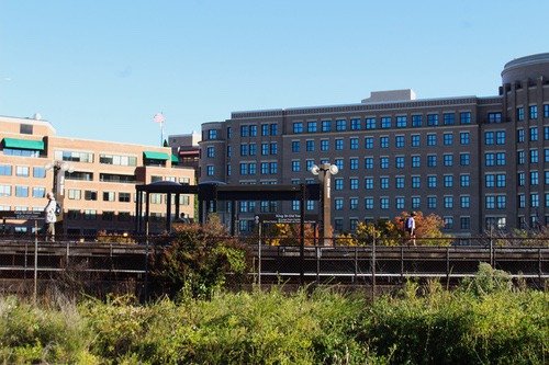 alexandria28