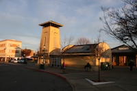 lodi6