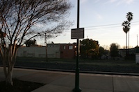 lodi8