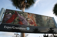 expo-crenshaw38
