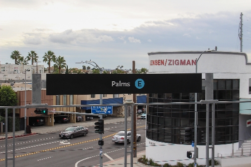 palms12