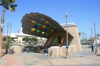 mariachi_plaza9