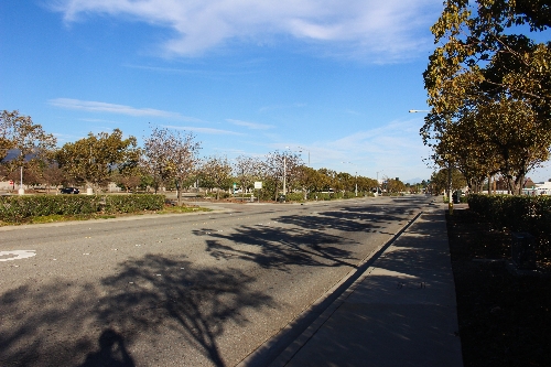 montclair5