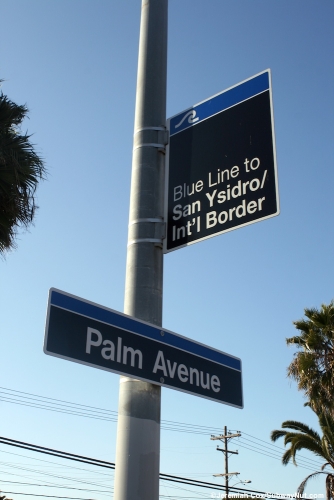 palm_avenue6