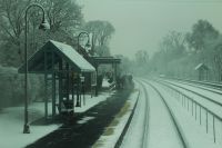 winfield3