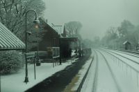 winfield4