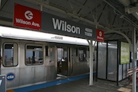 wilson1