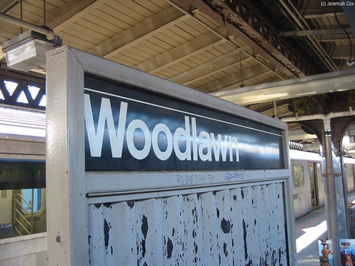 woodlawnn42