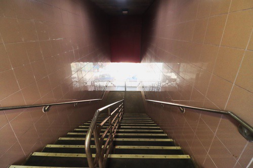 temple_university21