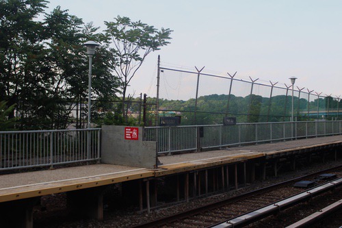 nassau41